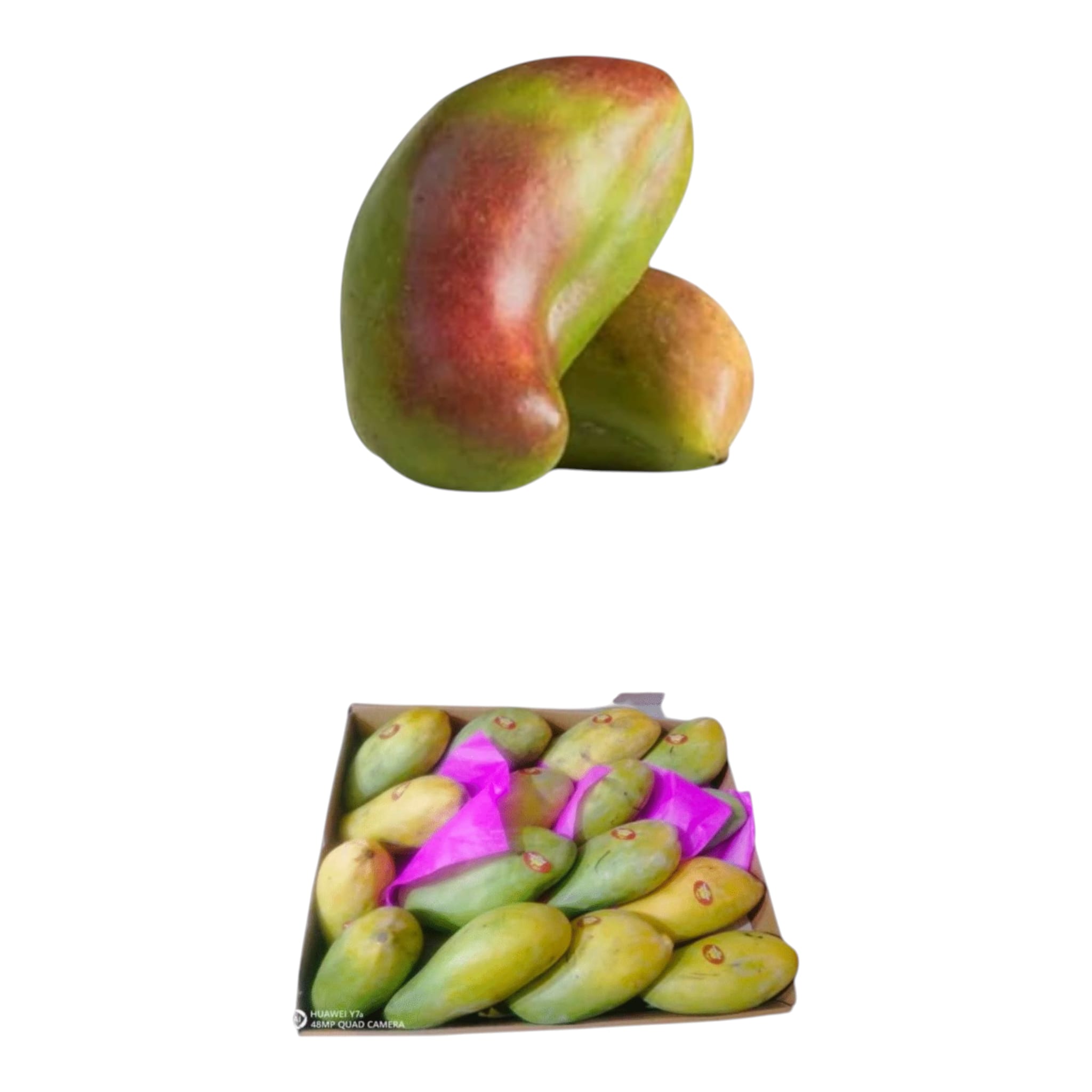 offer صديقة 6ك + جولك 3ك- شحن 2 يوليو - الصورة 1